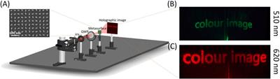 Single-sized metasurface for simultaneous pseudo-color nanoprinting and holographic image display